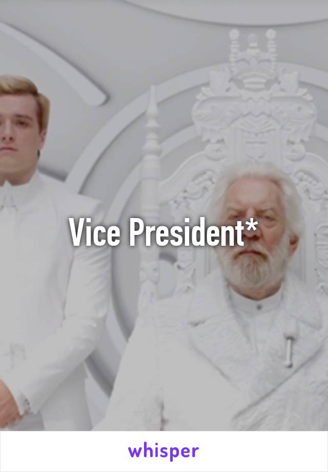 Vice President*