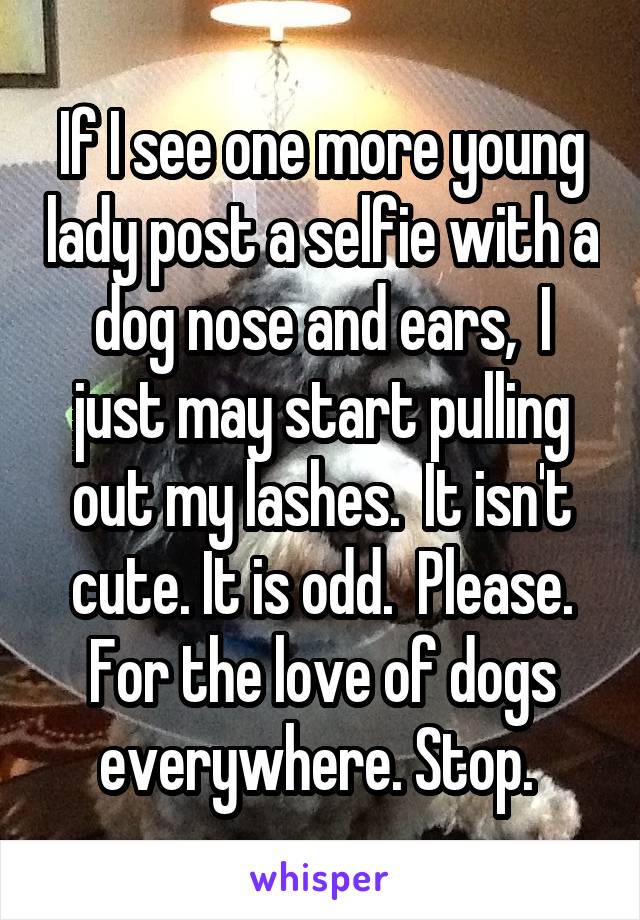 If I see one more young lady post a selfie with a dog nose and ears,  I just may start pulling out my lashes.  It isn't cute. It is odd.  Please. For the love of dogs everywhere. Stop. 