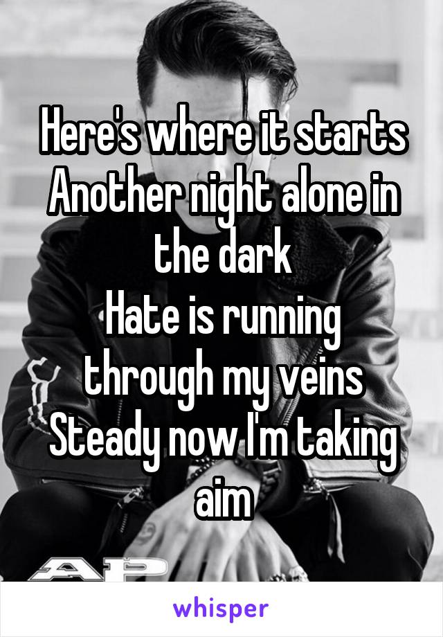 Here's where it starts
Another night alone in the dark
Hate is running through my veins
Steady now I'm taking aim