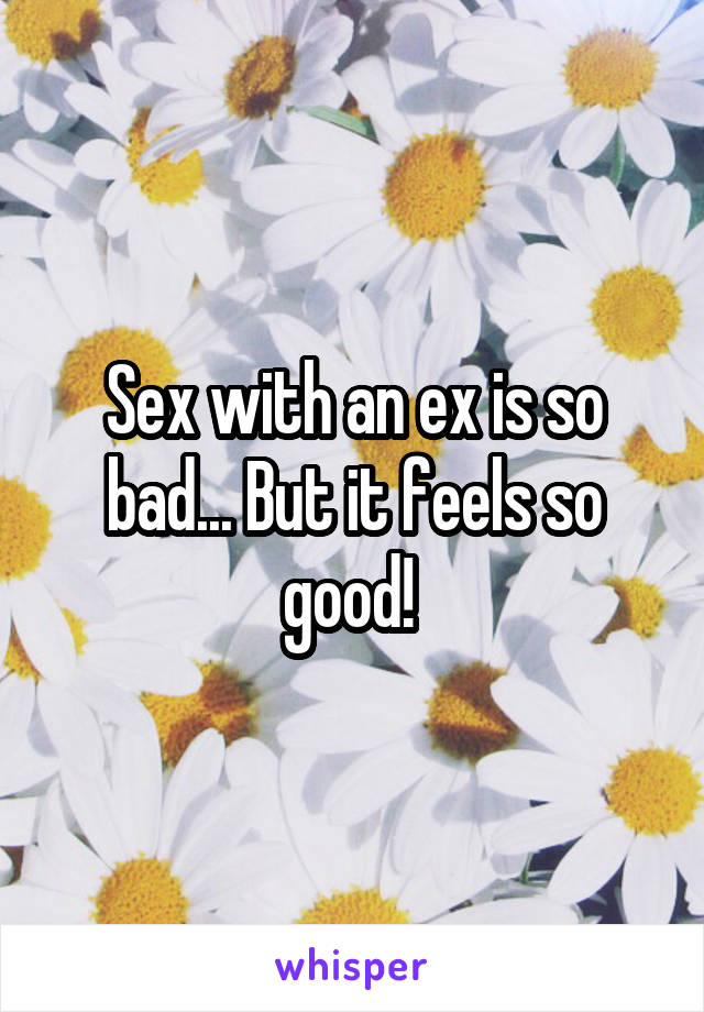 Sex with an ex is so bad... But it feels so good! 