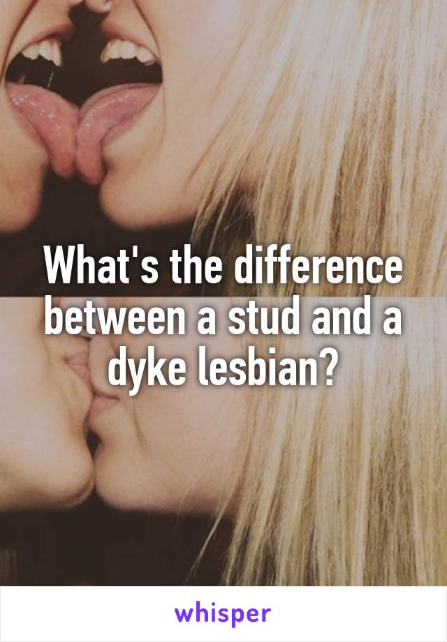 What's the difference between a stud and a dyke lesbian?