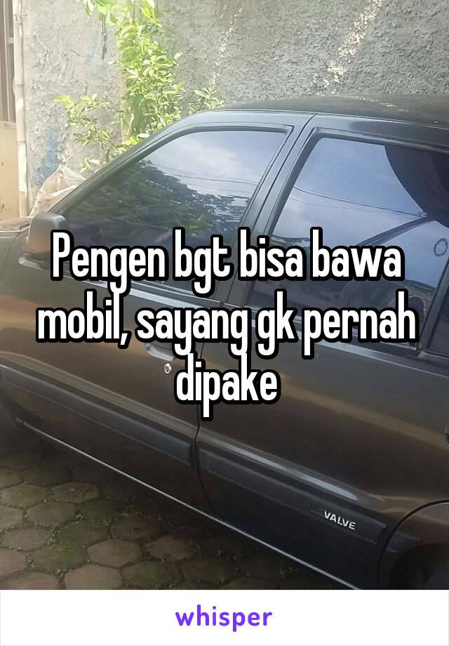 Pengen bgt bisa bawa mobil, sayang gk pernah dipake