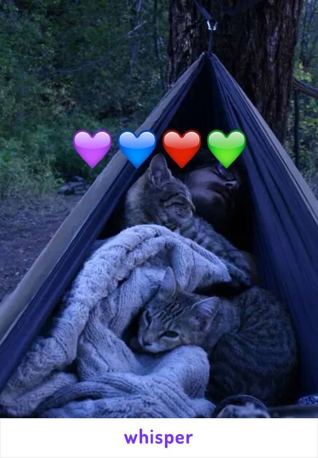 💜💙❤️💚