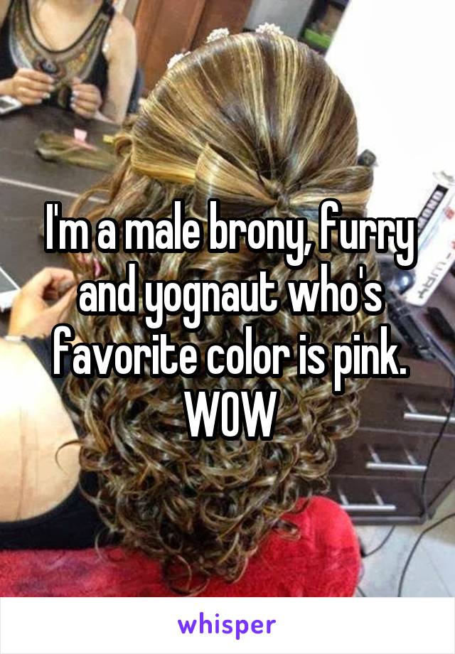 I'm a male brony, furry and yognaut who's favorite color is pink. WOW