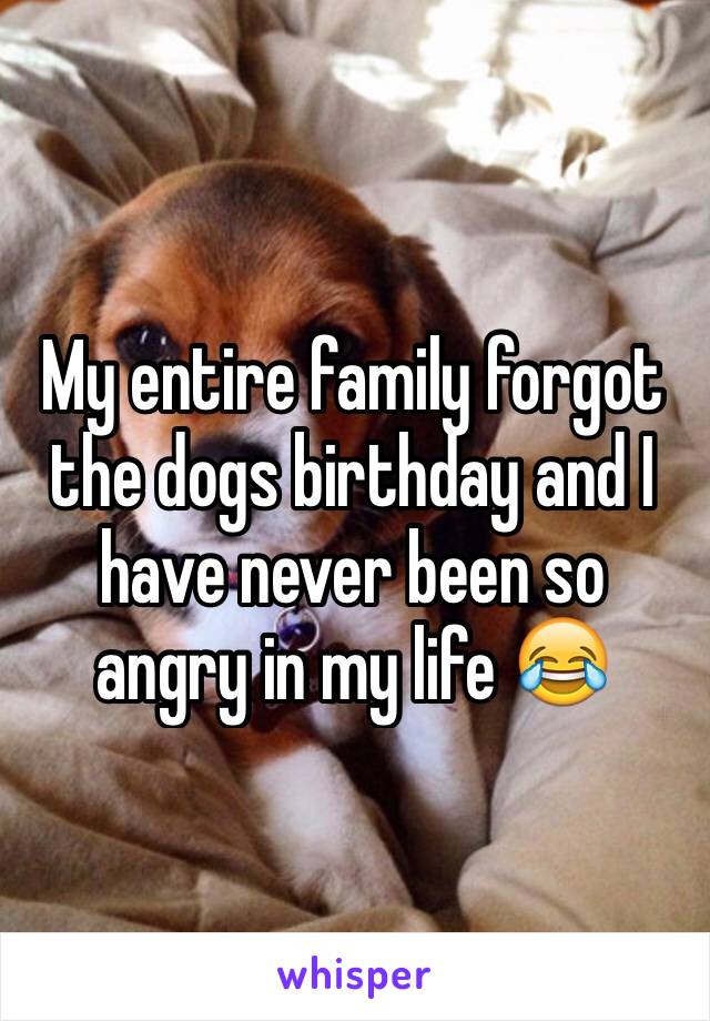 My entire family forgot the dogs birthday and I have never been so angry in my life 😂