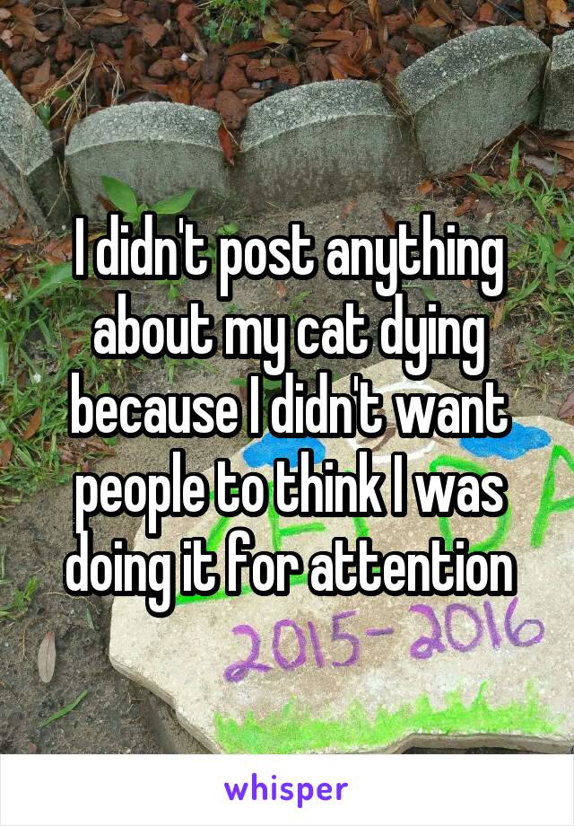 I didn't post anything about my cat dying because I didn't want people to think I was doing it for attention