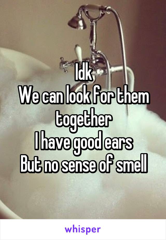 Idk
We can look for them together
I have good ears
But no sense of smell