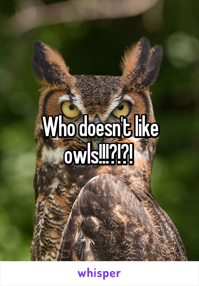Who doesn't like owls!!!?!?! 