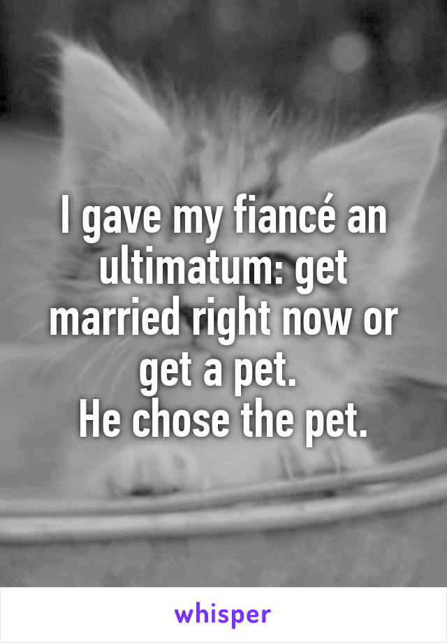 I gave my fiancé an ultimatum: get married right now or get a pet. 
He chose the pet.