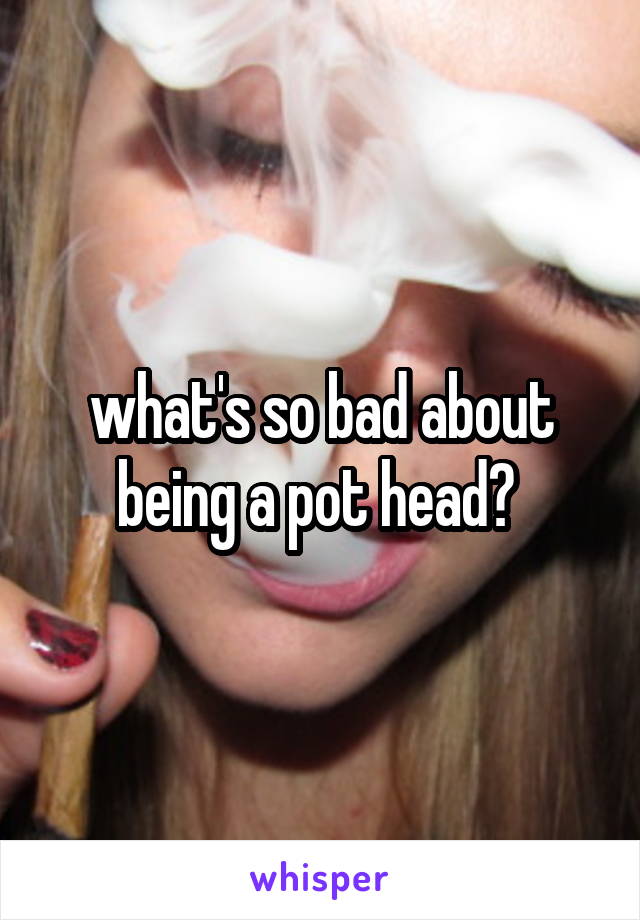 what's so bad about being a pot head? 