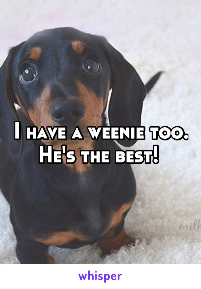 I have a weenie too. He's the best! 