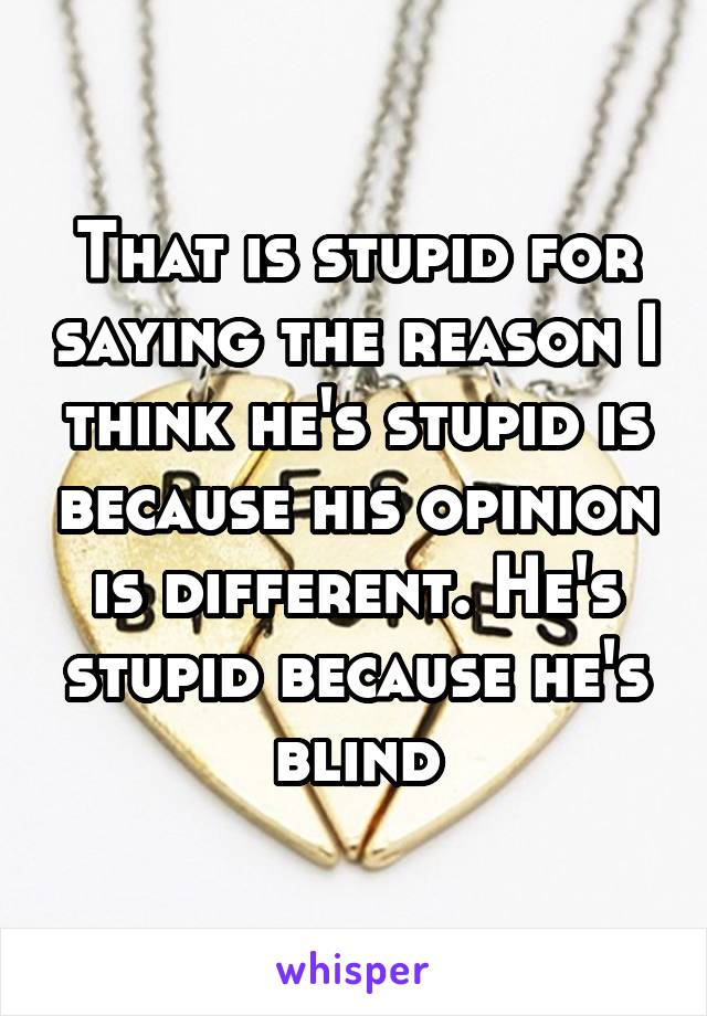 That is stupid for saying the reason I think he's stupid is because his opinion is different. He's stupid because he's blind