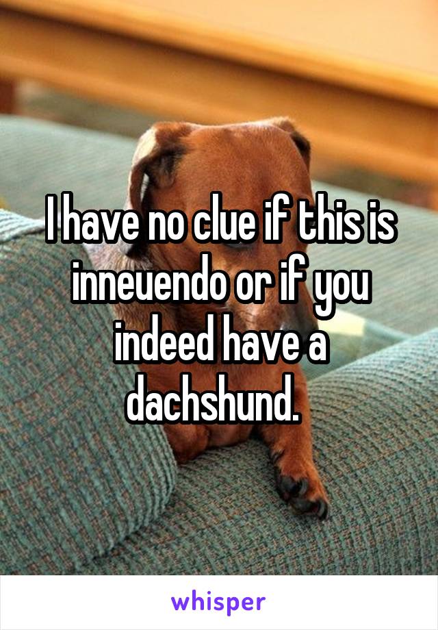 I have no clue if this is inneuendo or if you indeed have a dachshund.  