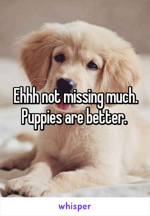 Ehhh not missing much. Puppies are better. 