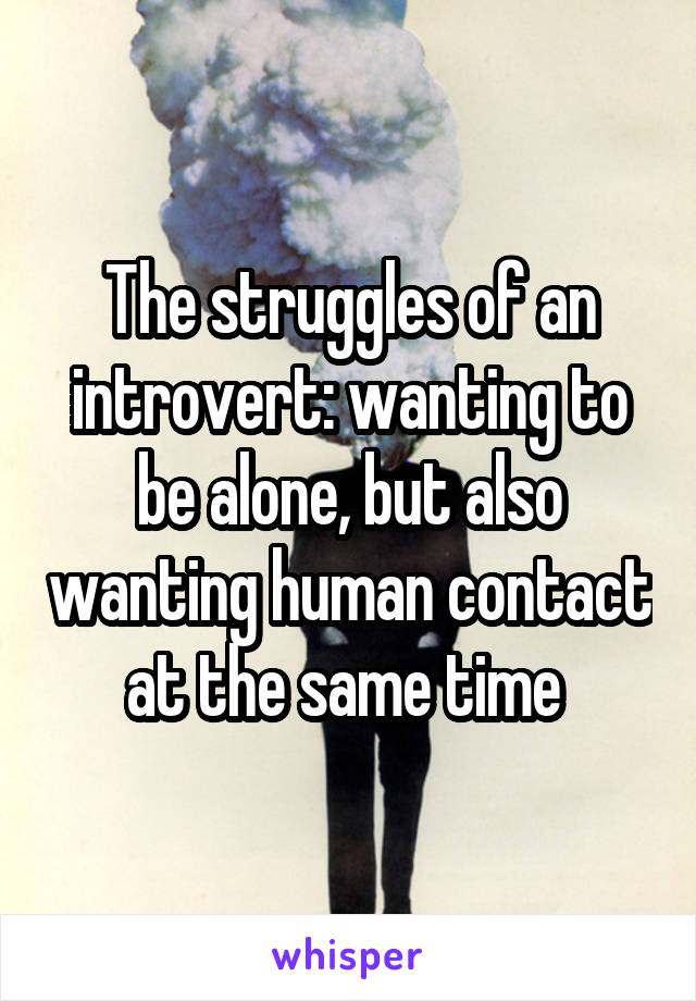 The struggles of an introvert: wanting to be alone, but also wanting human contact at the same time 