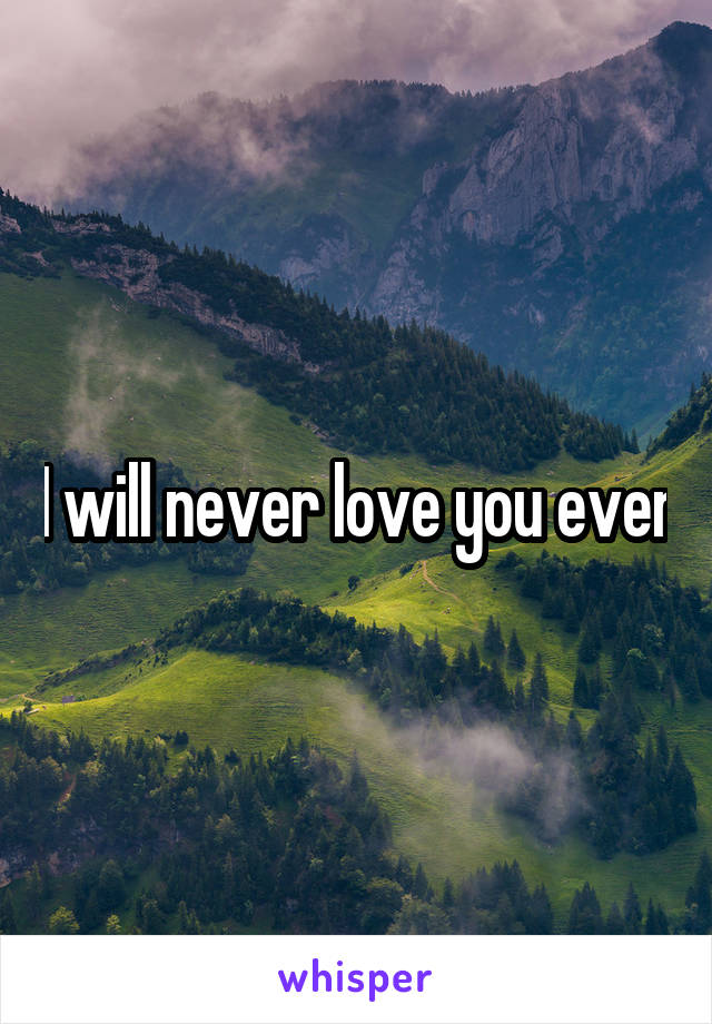 I will never love you ever