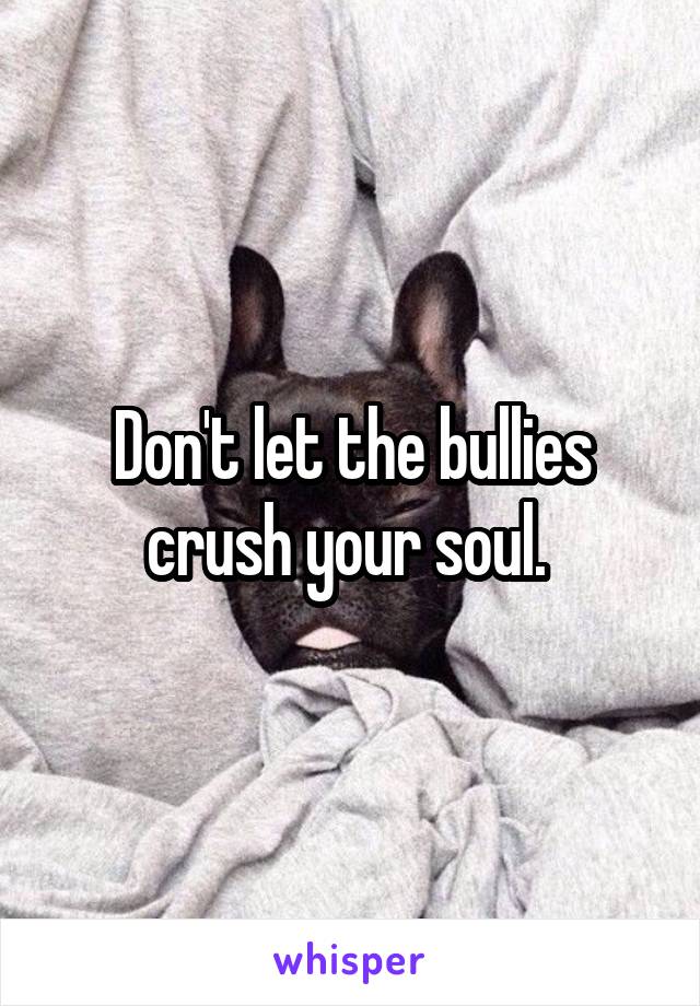 Don't let the bullies crush your soul. 