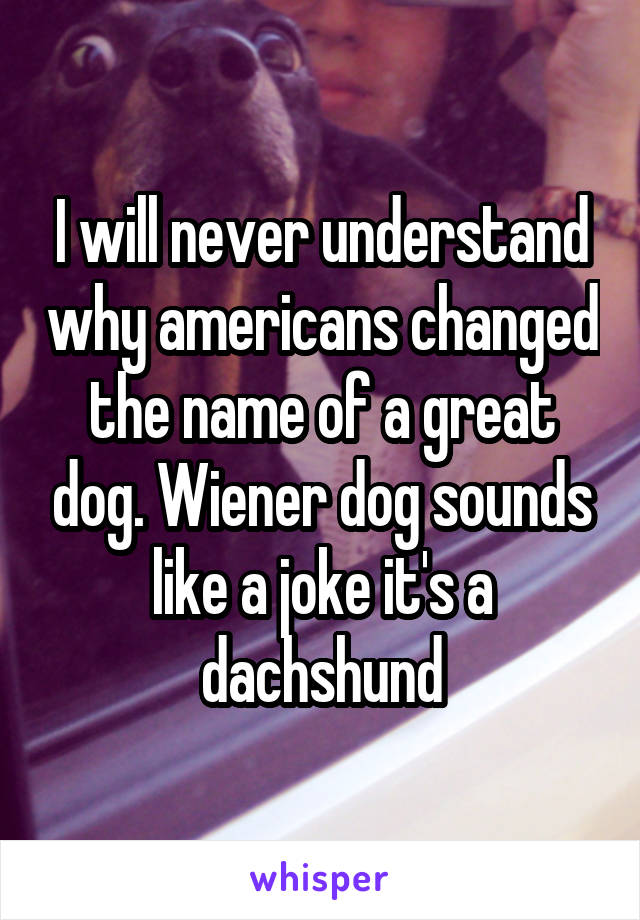 I will never understand why americans changed the name of a great dog. Wiener dog sounds like a joke it's a dachshund