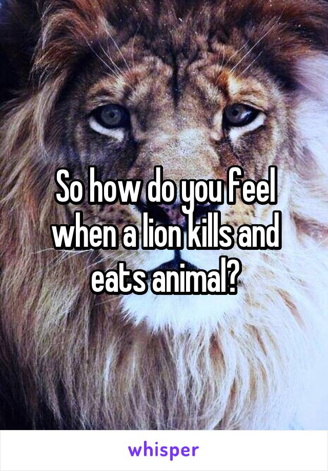 So how do you feel when a lion kills and eats animal?