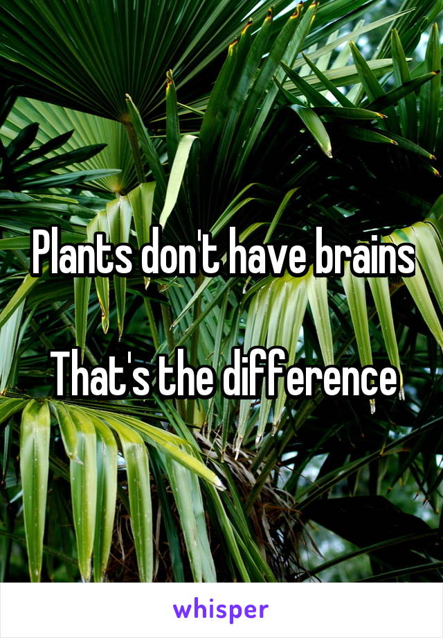 Plants don't have brains 
That's the difference