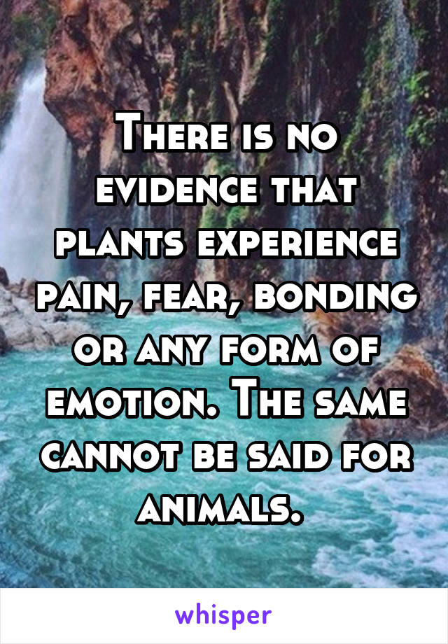 There is no evidence that plants experience pain, fear, bonding or any form of emotion. The same cannot be said for animals. 