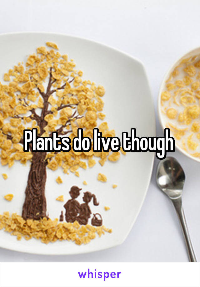 Plants do live though 