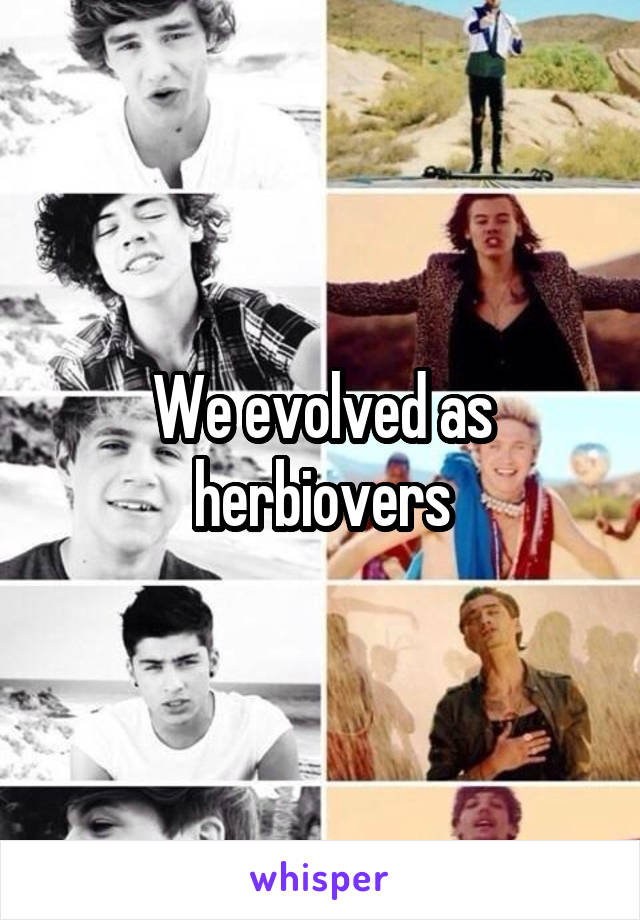 We evolved as herbiovers