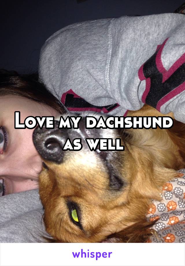 Love my dachshund as well