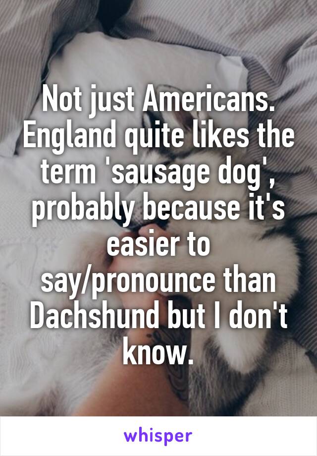 Not just Americans. England quite likes the term 'sausage dog', probably because it's easier to say/pronounce than Dachshund but I don't know.