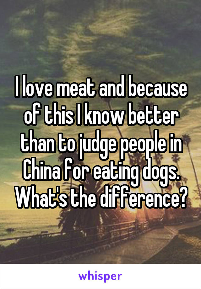 I love meat and because of this I know better than to judge people in China for eating dogs. What's the difference?