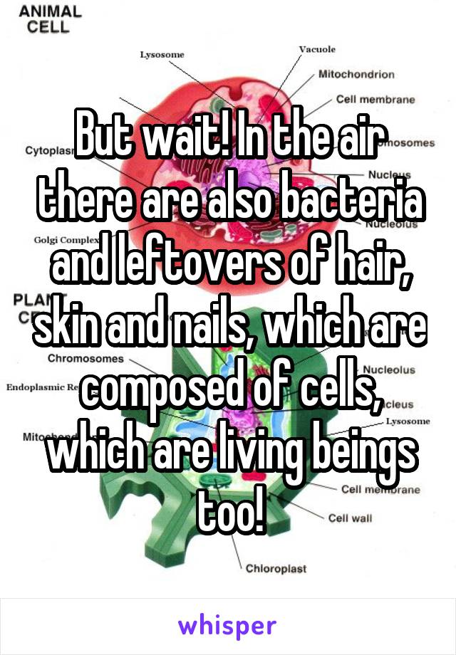 But wait! In the air there are also bacteria and leftovers of hair, skin and nails, which are composed of cells, which are living beings too!