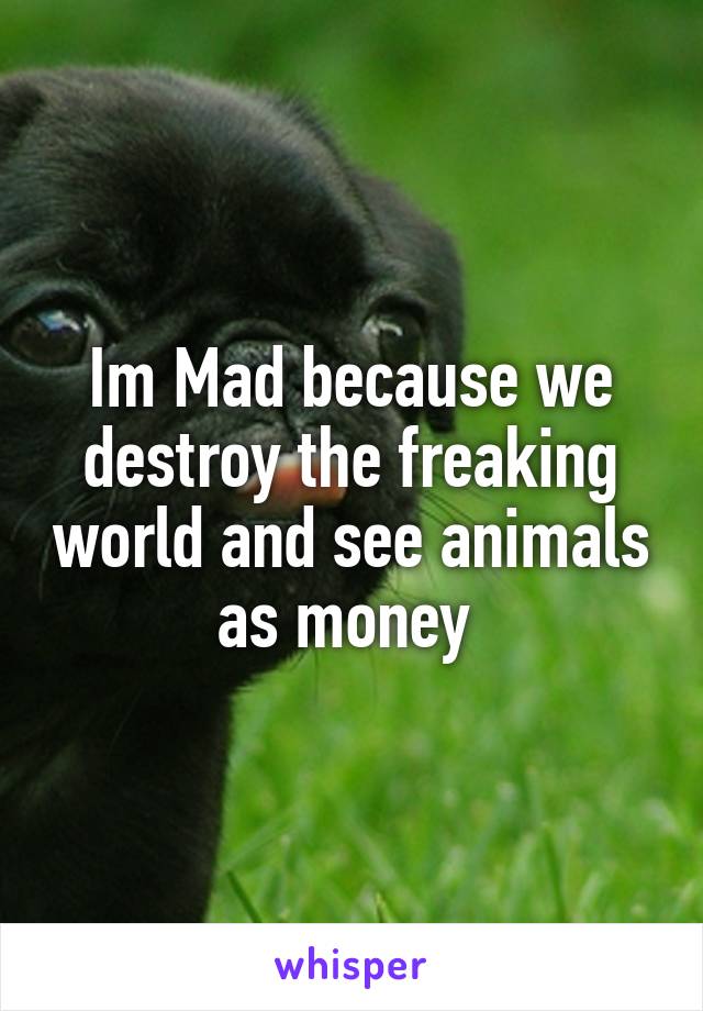 Im Mad because we destroy the freaking world and see animals as money 