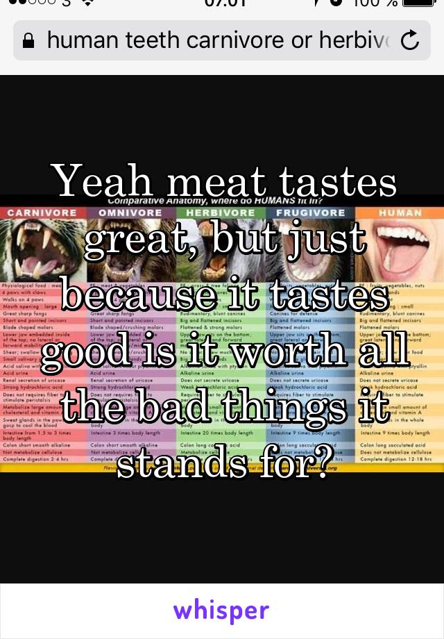 Yeah meat tastes great, but just because it tastes good is it worth all the bad things it stands for?