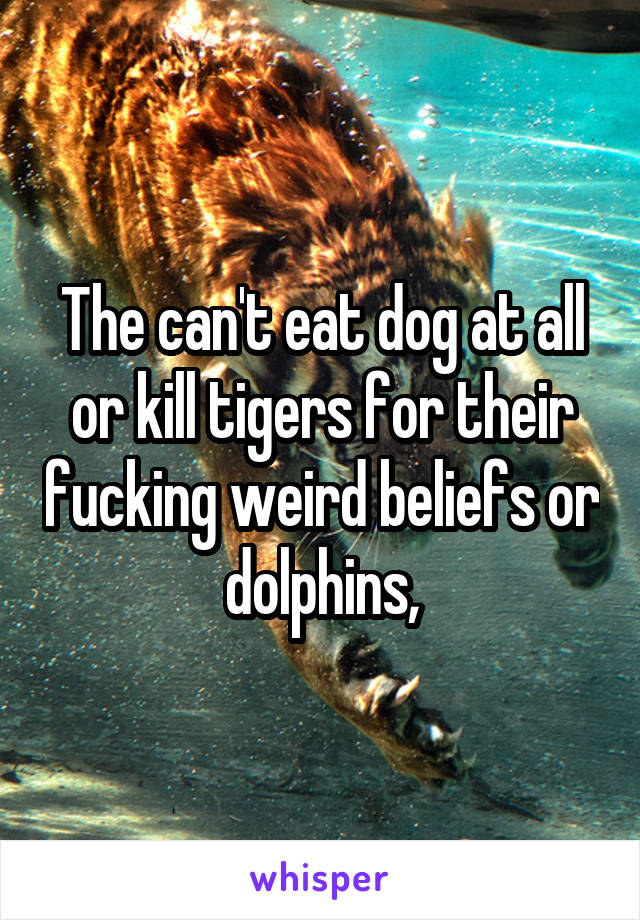 The can't eat dog at all or kill tigers for their fucking weird beliefs or dolphins,