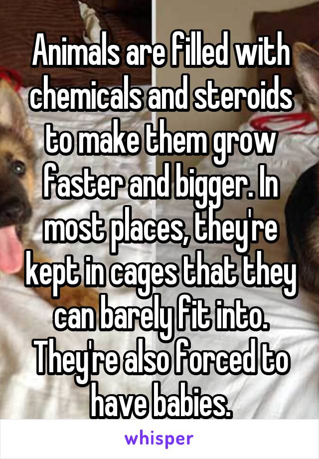 Animals are filled with chemicals and steroids to make them grow faster and bigger. In most places, they're kept in cages that they can barely fit into. They're also forced to have babies.