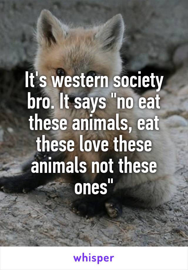 It's western society bro. It says "no eat these animals, eat these love these animals not these ones"