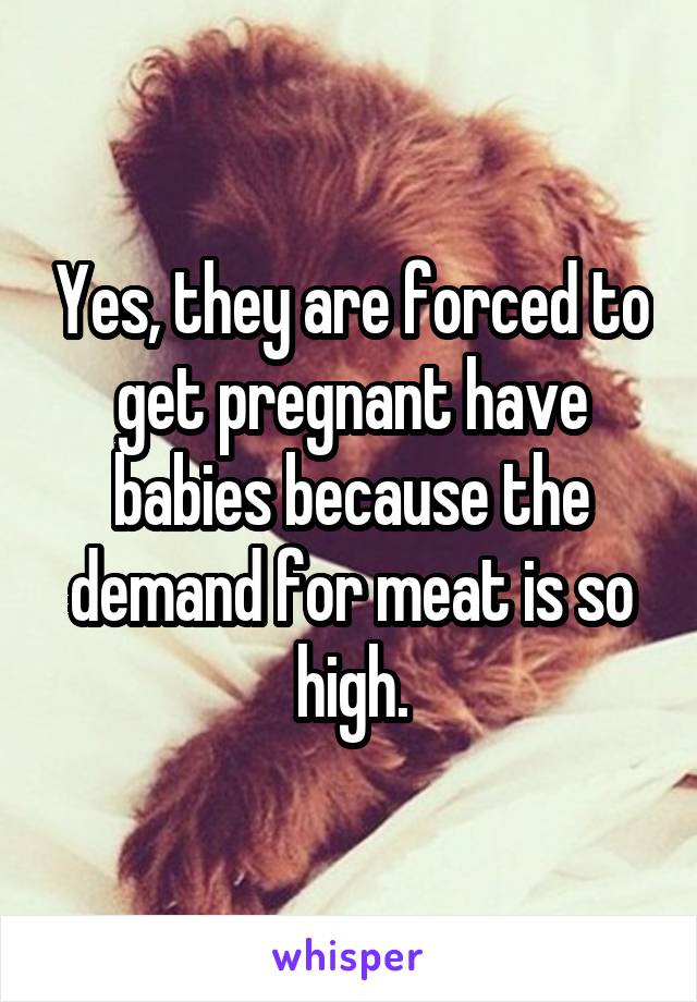 Yes, they are forced to get pregnant have babies because the demand for meat is so high.