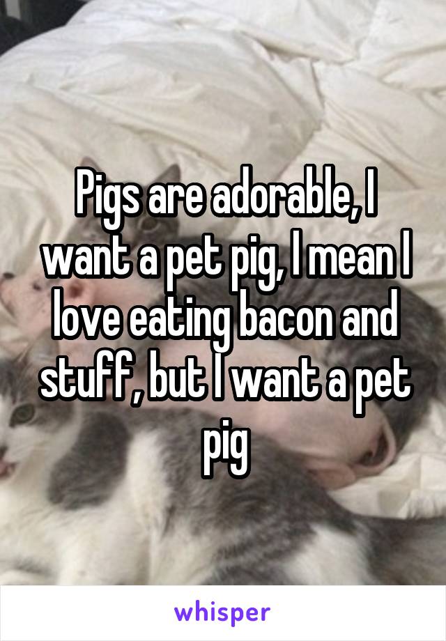 Pigs are adorable, I want a pet pig, I mean I love eating bacon and stuff, but I want a pet pig