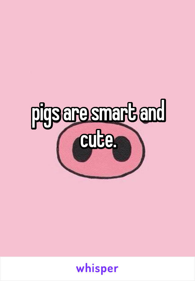 pigs are smart and cute.
