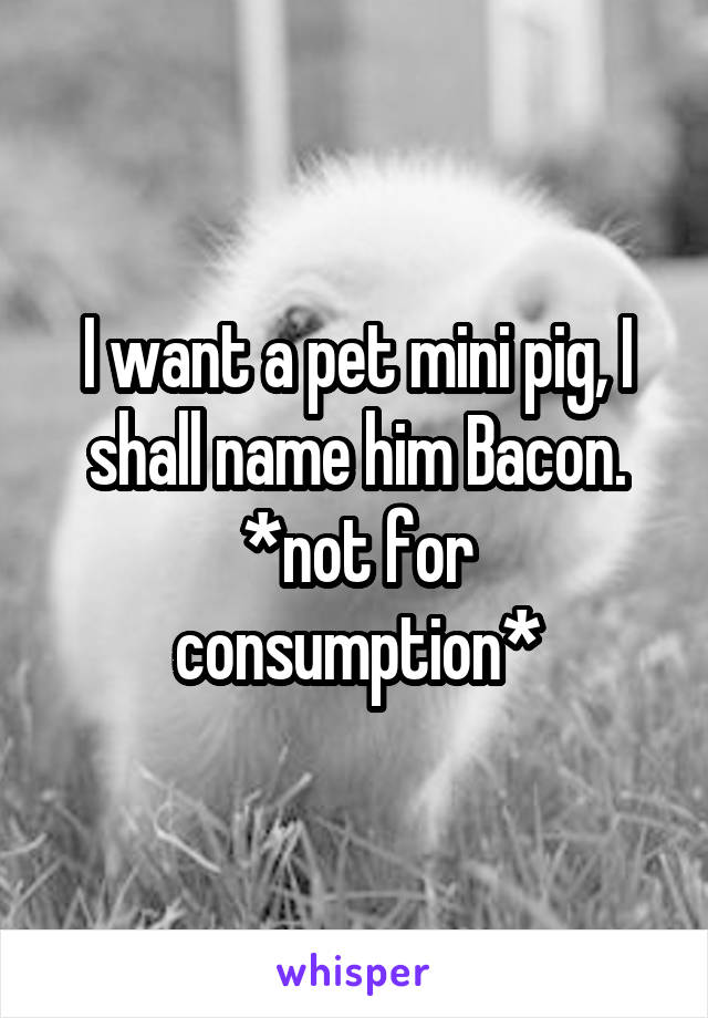 I want a pet mini pig, I shall name him Bacon.
*not for consumption*