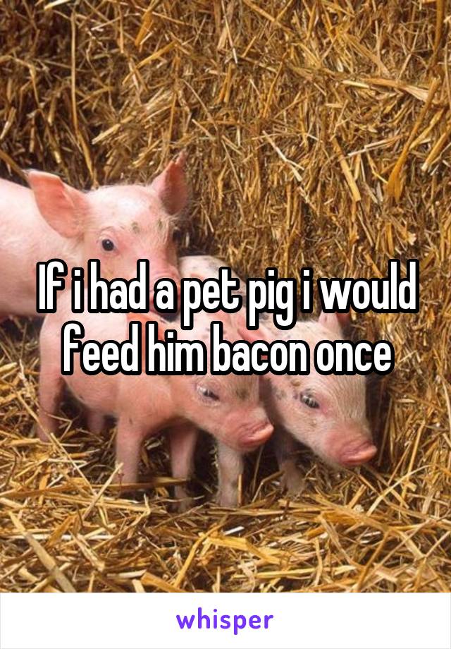 If i had a pet pig i would feed him bacon once