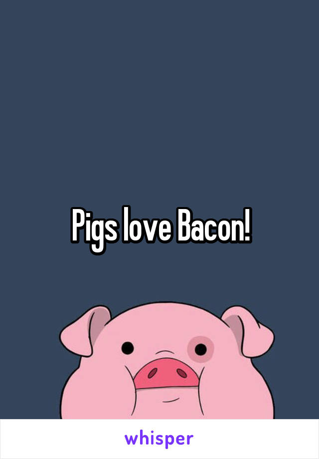 Pigs love Bacon!