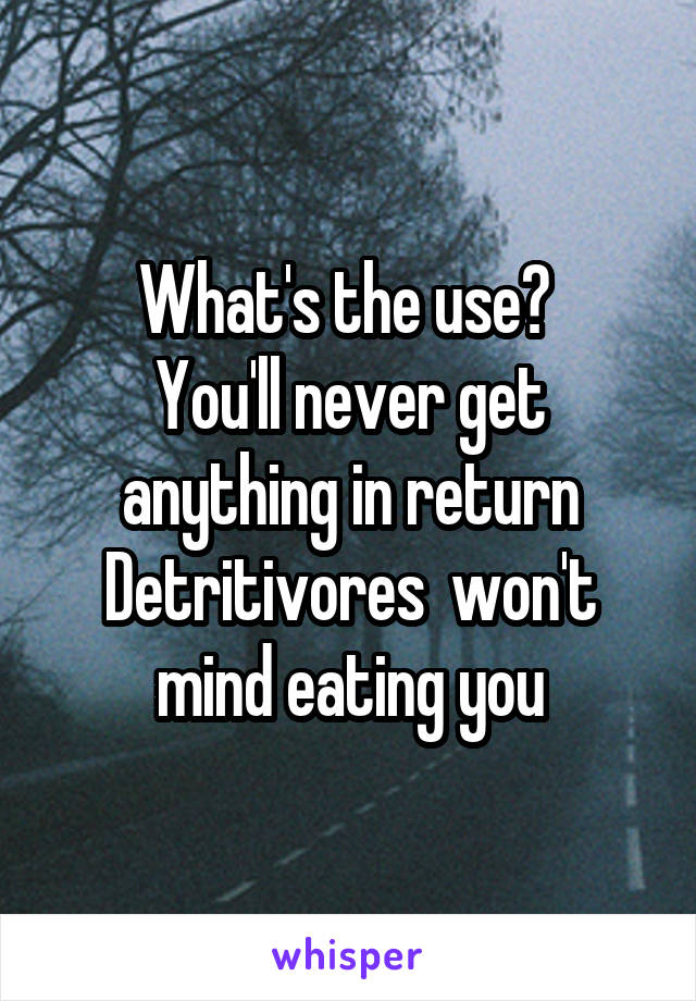 What's the use? 
You'll never get anything in return
Detritivores  won't mind eating you