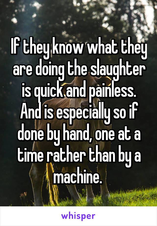 If they know what they are doing the slaughter is quick and painless. And is especially so if done by hand, one at a time rather than by a machine. 