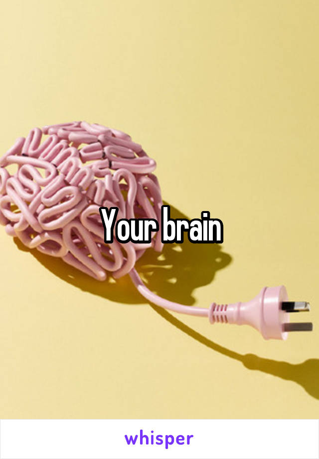 Your brain