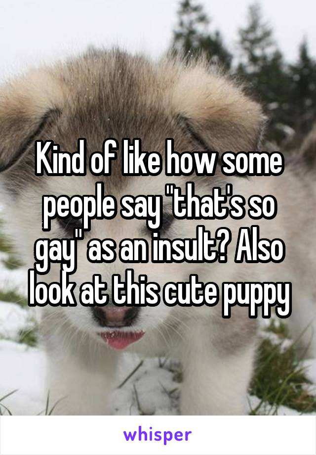 Kind of like how some people say "that's so gay" as an insult? Also look at this cute puppy