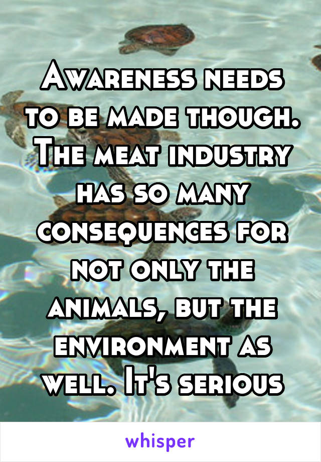 Awareness needs to be made though. The meat industry has so many consequences for not only the animals, but the environment as well. It's serious