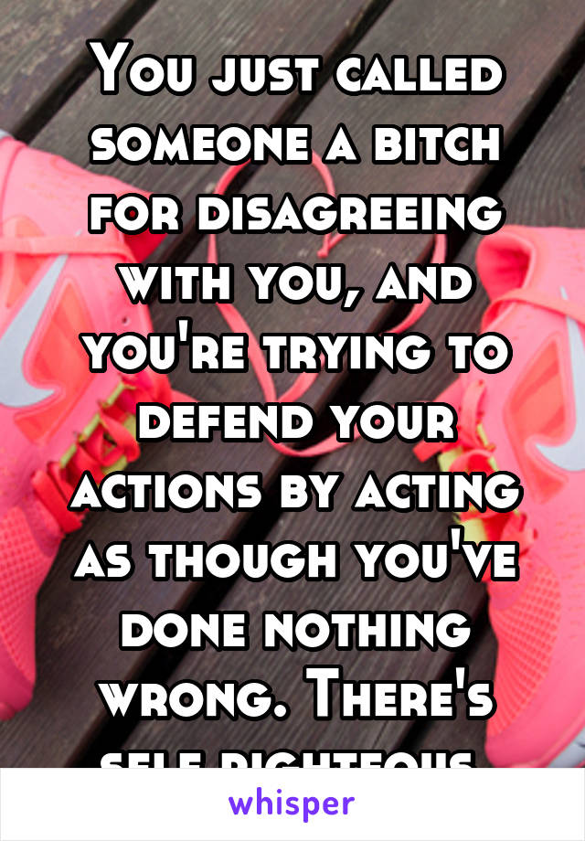 You just called someone a bitch for disagreeing with you, and you're trying to defend your actions by acting as though you've done nothing wrong. There's self righteous 