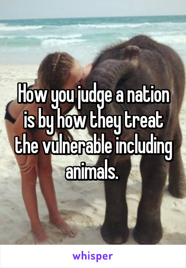 How you judge a nation is by how they treat the vulnerable including animals. 