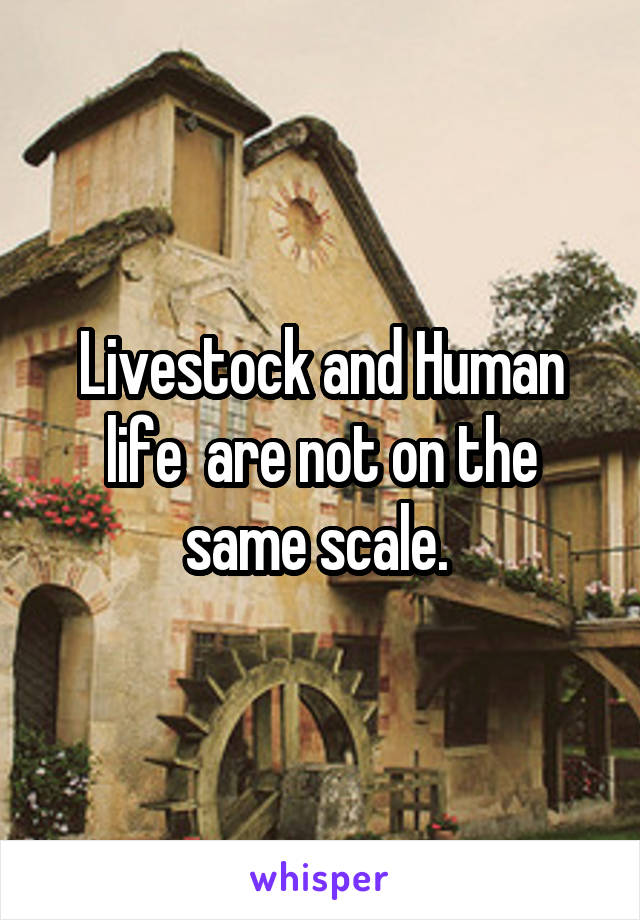 Livestock and Human life  are not on the same scale. 